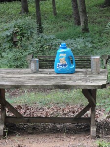 Country — Taken in Charlotte, NC