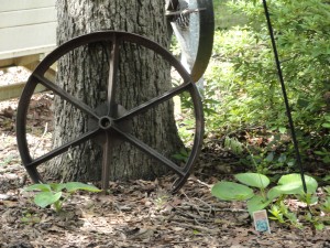 Country — Taken in Charlotte, NC