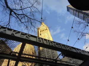 Shake Shack — Taken in NYC