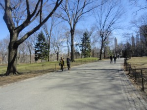 Central Park — Taken in NYC