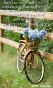 Meme — Created for niNe. magazine