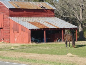 Barn — Taken in Conway, SC