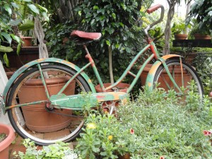 Bike — Taken in Asheville, NC