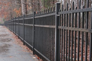 Composition — Taken for Beginning Photojournalism