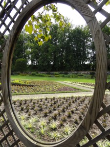 Framing — Taken in Asheville, NC