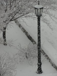 Snow — Taken in Chapel Hill, NC