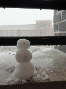 Snow — Taken in Chapel Hill, NC